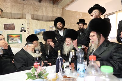 האדמו"ר מקוזמיר שליט"א בביקור אצל הגאון הרב נבנצל שליט"א | צילום: י. פריד