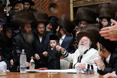 שמחת החלאקה לנכד האדמו"ר מפרמישלאן שליט"א | צילום: י. פריד