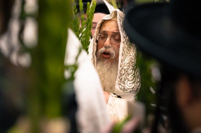 ירח האיתנים בחצר הקודש טאהש | צילום: משה פאנעט