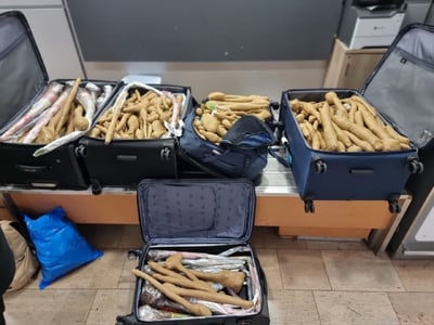 300 שתילים נתפסו אצל רופא שחזר מתאילנד
