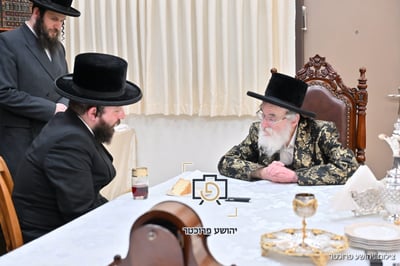 הפגישה בין האדמו"ר מויז'ניץ מרכז לבין הח"כ המיועד אליקים שטארק
