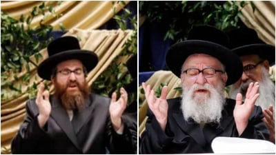 האחים הרה"צ רבי אהרן מענדיל והרה"צ רבי חיים מאיר טווערסקי