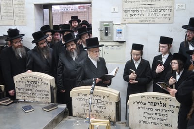 הילולא קדישא בסערט ויז'ניץ | צילום: קול ברמה