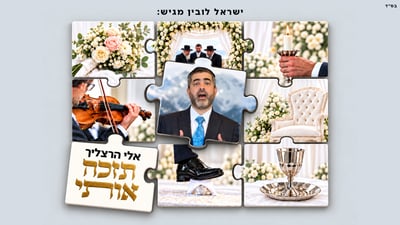 אלי הרצליך בסינגל חופה חדש: 'תזכה אותי'