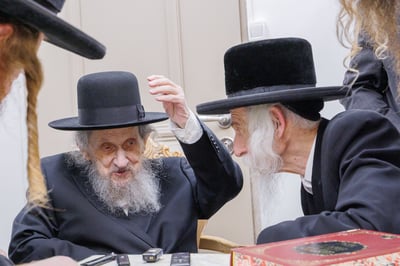 הגר"ד לנדו שליט"א בביקור אצל האדמו"ר מסטריקוב שליט"א