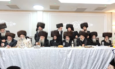 שמחת בית טשארנאביל - קאסאן הילקרעסט - אנטניא | צילום: שימי פ.