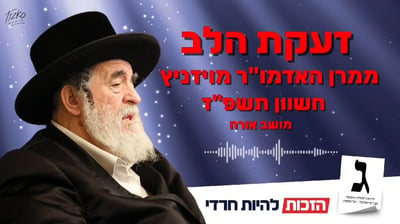 "אין לי מנוחה מהמצב": קריאת האדמו"ר מויז'ניץ