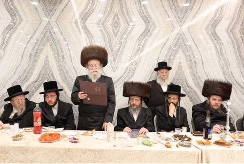 נינה של רבי שלומק'ה | גאב"ד זוועהיל אירס את בתו, האדמו"רים התייצבו