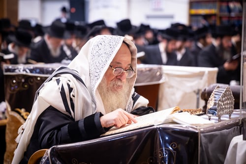 לִשְׁמֹעַ אֶל הָרִנָּה: אלפים בסליחות ראשונות בצאנז קלויזנבורג 