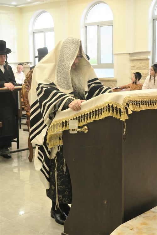 צפו: הרבי מאלעד שהתיר את נדריו עטוף בטלית לפני קהל חסידיו 