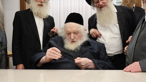 הגר"מ שטרנבוך בדק עם אצבעו: השוחטים התייצבו עם הסכינים