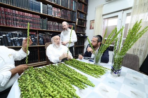 מתוך חביבות המצווה: כך בחר ראש הישיבה את ארבעת המינים