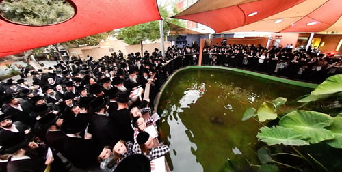 בשקיעתה של חמה | הרבי מנדבורנה וחסידיו כבשו את הפארק העירוני בבני ברק