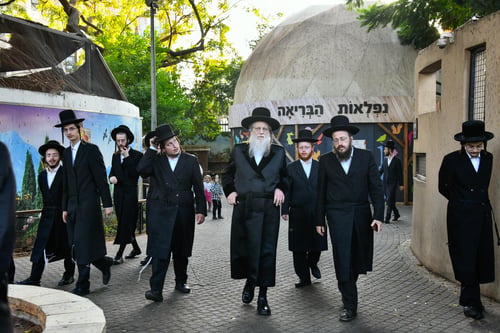 חסידי מודז'יץ הותירו את עוונותיהם ב'פינת החי': צפו בתיעוד ממעמד התשליך המרומם