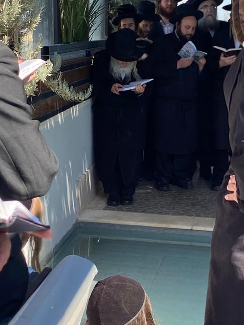 האדמו"ר שישבור את הצום בעוד שעות אחדות נצפה במעמד תשליך