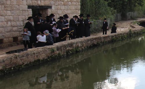 צפו: האדמו"ר מז'מיגראד, הרעיד את הדגים שבירקון עם השופר