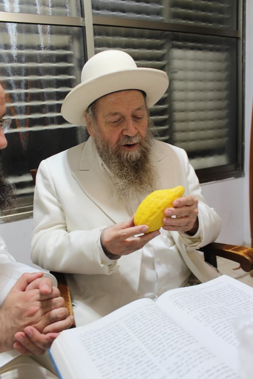 בשמחה מיוחדת: כך בחר זקן המקובלים אתרוג נאה לחג הסוכות