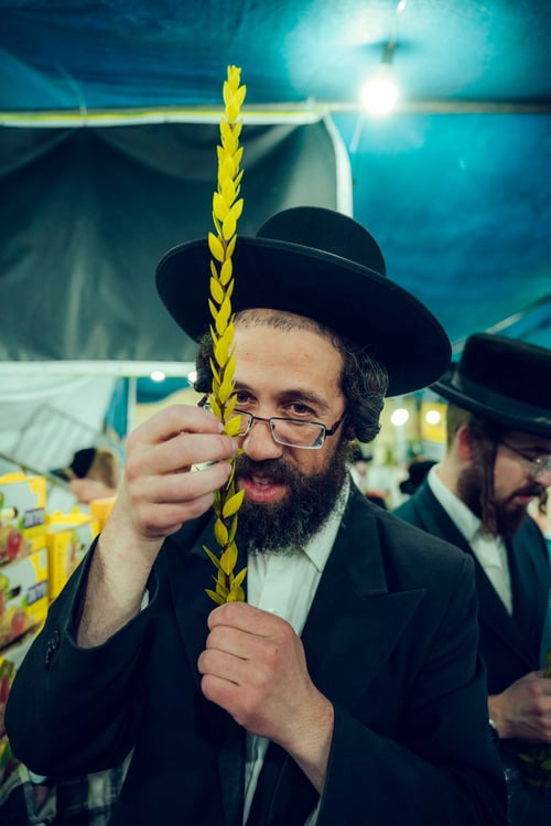 מדקדקים במצוות: כך בחרו בשווקי ארבעת המינים את הסט המהודר | תיעוד