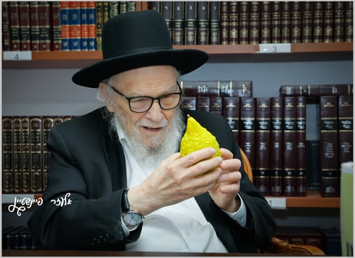 פְּרִי עֵץ הָדָר | צפו ברגעים של אור וקדושה מתוך היכלם של גדולי הדור 