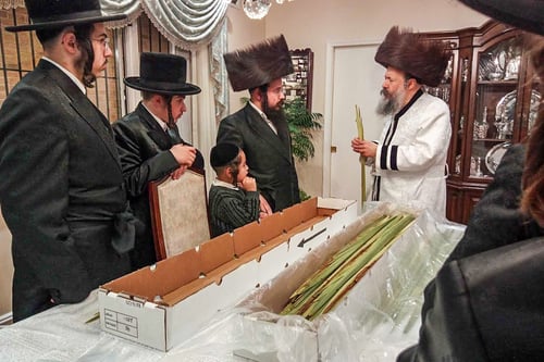 מקריאת הקורבנות ועד בדיקת הלולבים | יום הקדוש בחצר הקודש באבוב 45