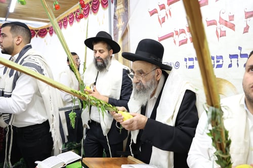 האיר פני המזרח: גדולי ישראל הספרדים בנטילת לולב בחול המועד