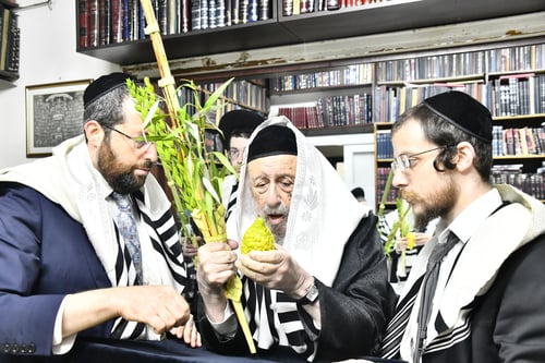 לא אחד, לא שניים: הצצה מיוחדת לשולחן האתרוגים של ראש הישיבה