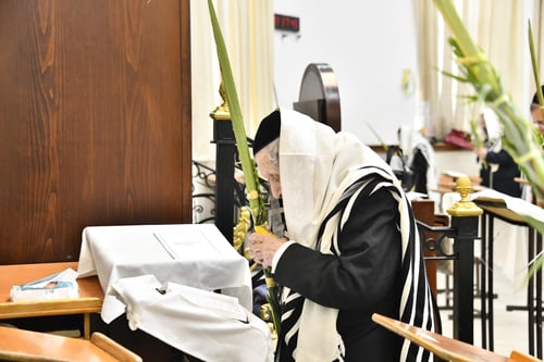 צפו בתיעוד: ראשי ישיבת סלבודקא נטלו ארבעת מינים בהיכל הישיבה
