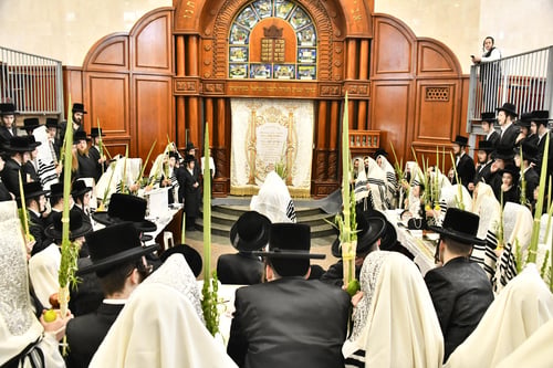 צפו ברגעי הקדושה בצילו של האדמו"ר מסדיגורה בעבודת הנענועים