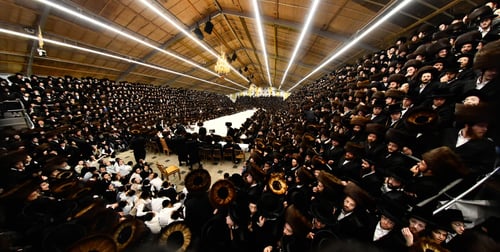מחזה הוד: אלפים בסוכה הגדולה – תיעוד עוצמתי מהשולחן הטהור של הרבי מבעלזא