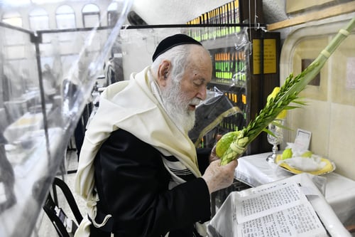 צפו בתיעוד מנטילת לולב - ארבעת המינים בידיהם של שלושה מגדולי הרבנים בבני ברק