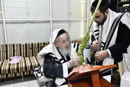 רחוב האדמו"ר מגור: צפו בתיעוד ממעמד נטילת הלולב של ראש הישיבה הגרמ"צ ברגמן