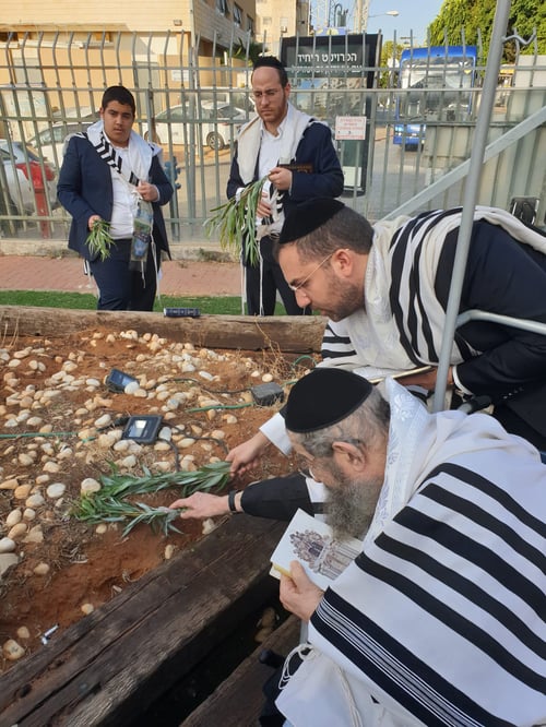 קדושה בבית החולים: רבה של בני ברק חבט את הערבות ונענע את הלולב במעיני הישועה