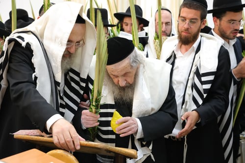 קדושה ושירה: גלריה עוצמתית מהושענא רבא במחיצת ראש הישיבה