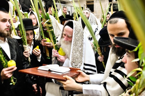 בשקיעתה של חמה: צפו כשרבי איצ'ה מאיר חבט ב"ערבות מורביות" 