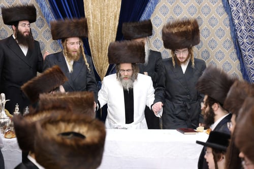 המונים נהרו: האדמו"ר החדש חילק שפע של "פרנסה ברויט" בסוכה