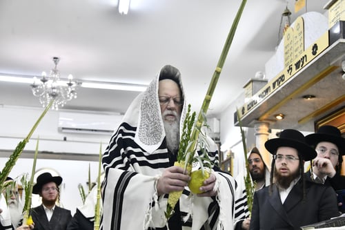 הרבי והחסידים: רגעי השיא משמחת תורה במודז'יץ