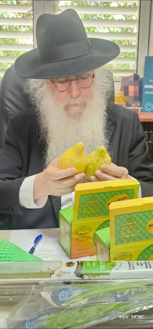 מבניית הסוכה בג'לאבייה ועד כל אירועי החג בצל האדמו"ר האשדודי