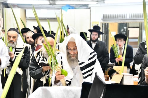 צפו: כך נראתה עבודת הקודש הסוערת של רבי אלימלך ביום החותם