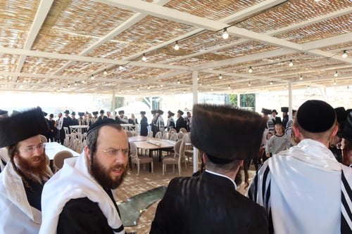 הרבי מזוועהיל רקד עם ספר התורה העתיק של הרה"ק מזלאטשוב זי"ע