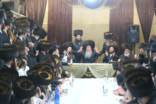 הוד והדר: חג הסוכות והושענא רבה בצילו של האדמו"ר משבט הלוי
