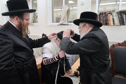 מאנטניא עד מאקאווא: שבעה אדמו"רים התכנסו בפרדס כץ לחגוג עם גאב"ד השכונה