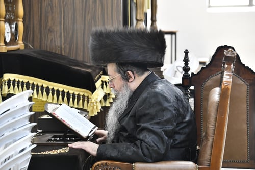 שלושה אדמו"רים ושלושה כסאות | הרבי הצדיק מחיפה כובד בסנדקאות