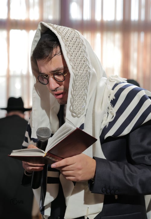 מי כובד בסנדקאות בברית המילה לנינו של הגאון רבי משה מאיה?