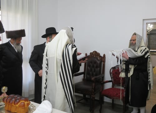 במושב אורה: האדמו"רים לבית ויז'ניץ התאחדו בשמחת הברית לנינם המשותף 