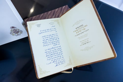 מרגש עד דמעות: מחווה מיוחדת ליתומי סאטמר בשמחת בית האדמו"ר