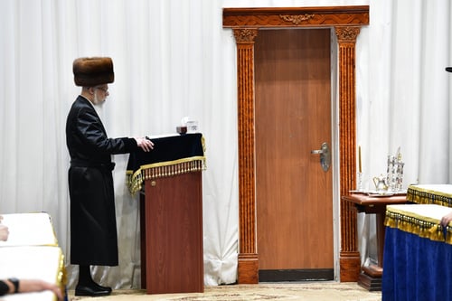 השטיח הכחול בסערט ויז'ניץ: הרבי צועד בין האלפים - כמסורת האדמו"רים | צפו בתיעוד