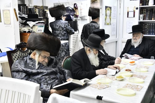 זקני בני ברק שפשפו עיניהם בהתרגשות | הרה"צ מטורקא התחדש בקאפטן פרחוני מרהיב