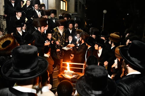 בתבנית 'אינגליש קייק' | האדמו"ר מספינקא שרף את הפתילות בטרם רדת הגשם 
