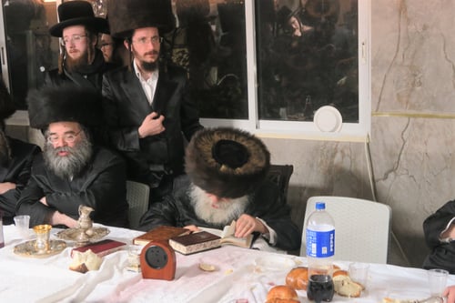 כבשן אש הקודש: חסידי מאקאווא התחממו לאורו של הגאב"ד בשבת במירון