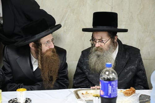 צאצאי ה'בני יששכר' התכנסו להילולא ושמחת אירוסי גר הצדק | תיעוד